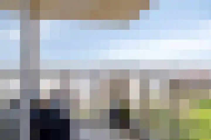 Maasboulevard 185 Schiedam thumbnail 16