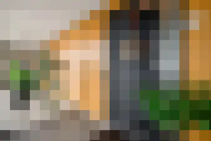 Maasboulevard 2 B Maastricht thumbnail 6