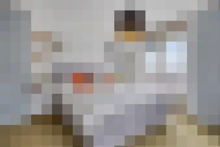 Maasboulevard 2 Zwijndrecht thumbnail 36