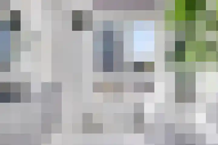 Maasboulevard 2 Zwijndrecht thumbnail 38
