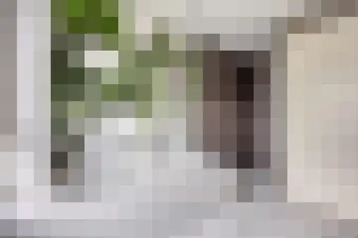 Maasboulevard 2 Zwijndrecht thumbnail 40
