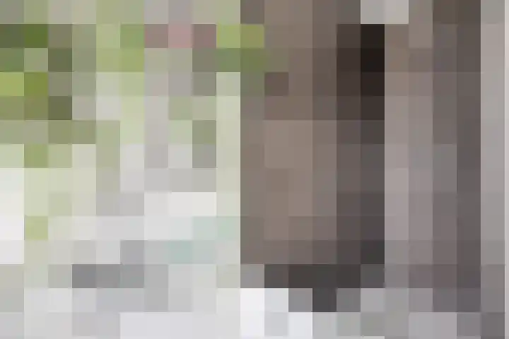 Maasboulevard 2 Zwijndrecht thumbnail 41