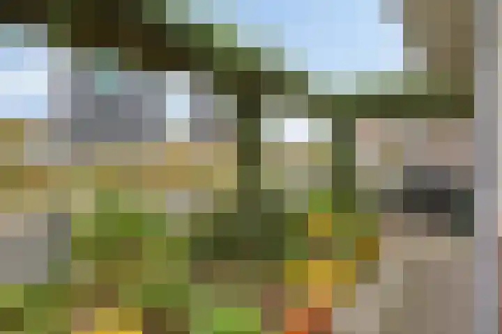 Maasboulevard 2 Zwijndrecht thumbnail 9