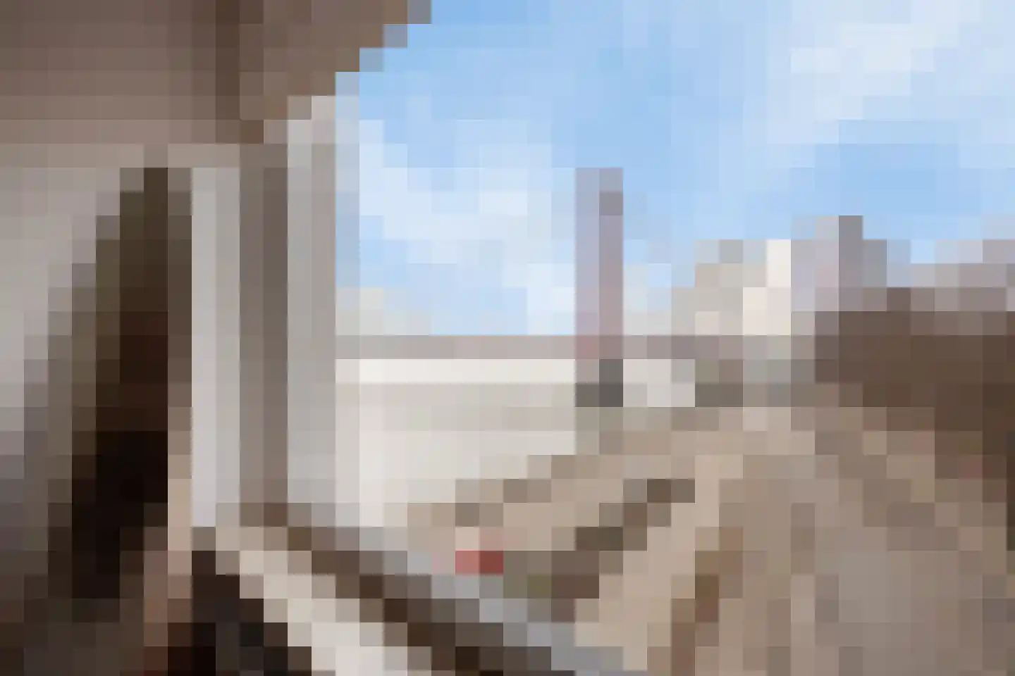 Maasboulevard 204 Rotterdam thumbnail 23