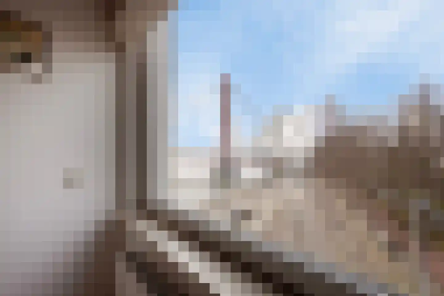 Maasboulevard 204 Rotterdam thumbnail 25
