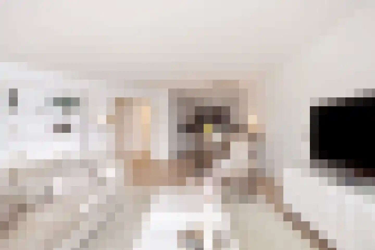 Maasboulevard 204 Rotterdam thumbnail 7
