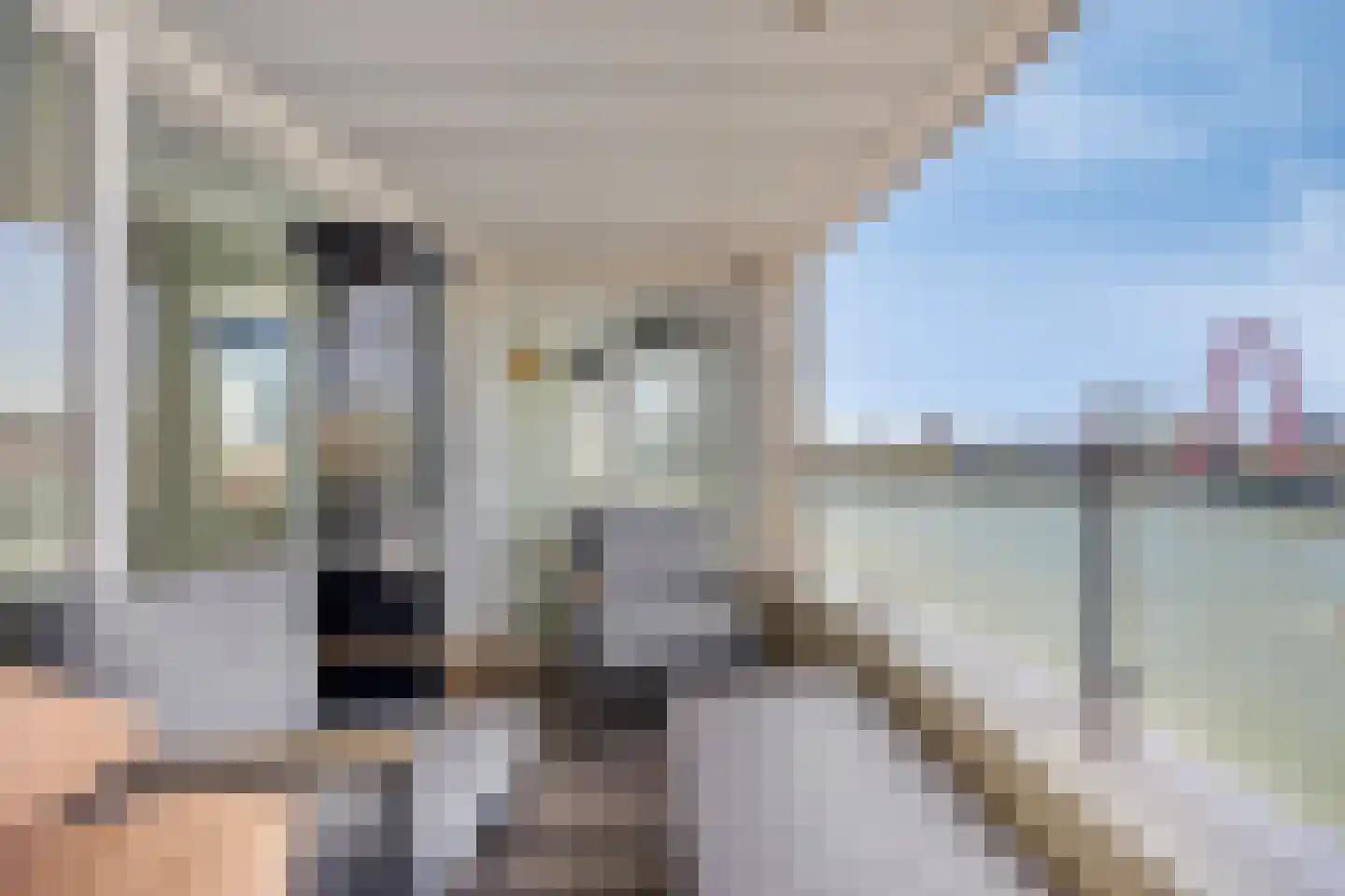 Maasboulevard 206 Rotterdam thumbnail 25