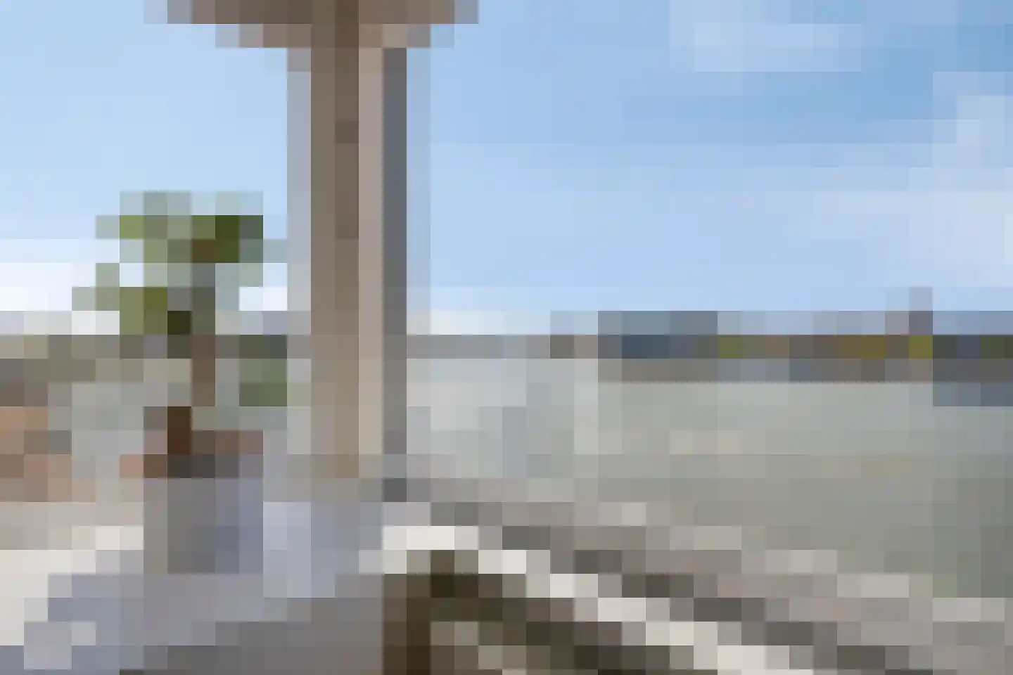 Maasboulevard 206 Rotterdam thumbnail 4