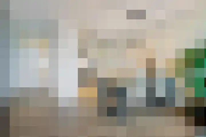 Maasboulevard 231 's-Hertogenbosch thumbnail 15
