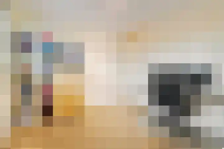 Maasboulevard 231 's-Hertogenbosch thumbnail 19