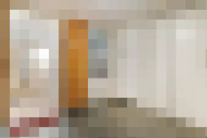Maasboulevard 231 's-Hertogenbosch thumbnail 27
