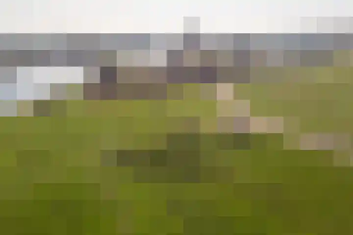 Maasboulevard 231 's-Hertogenbosch thumbnail 29