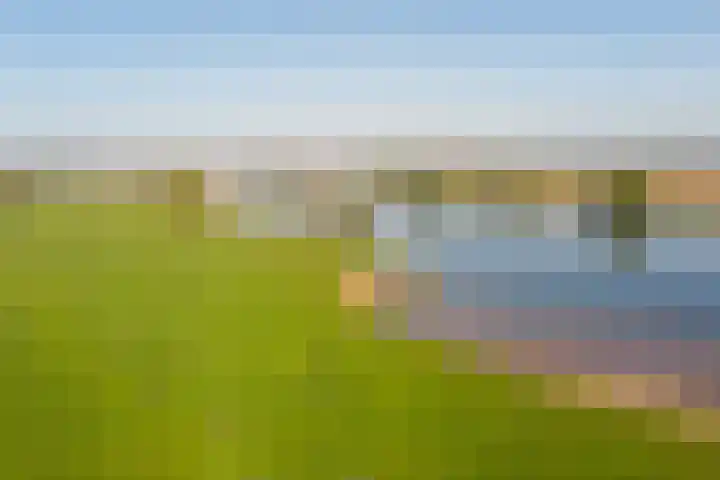 Maasboulevard 231 's-Hertogenbosch thumbnail 30