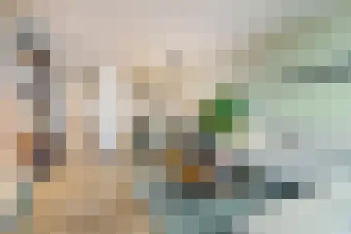 Maasboulevard 231 's-Hertogenbosch thumbnail 4