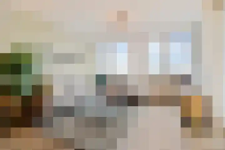 Maasboulevard 231 's-Hertogenbosch thumbnail 6