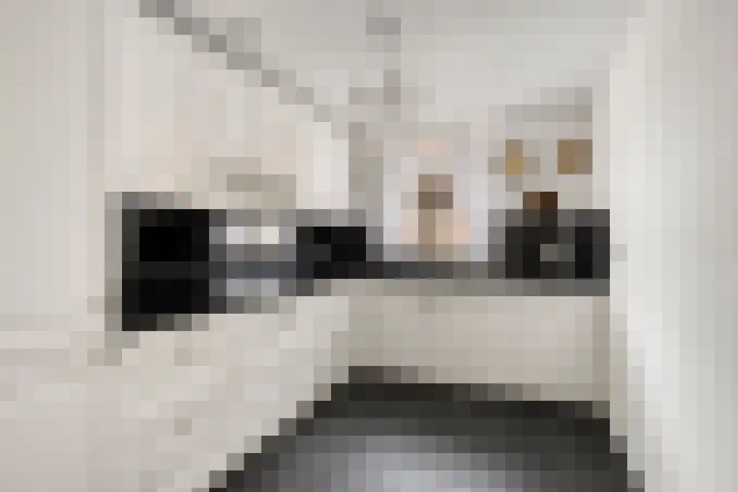 Maasboulevard 25 Roermond thumbnail 22