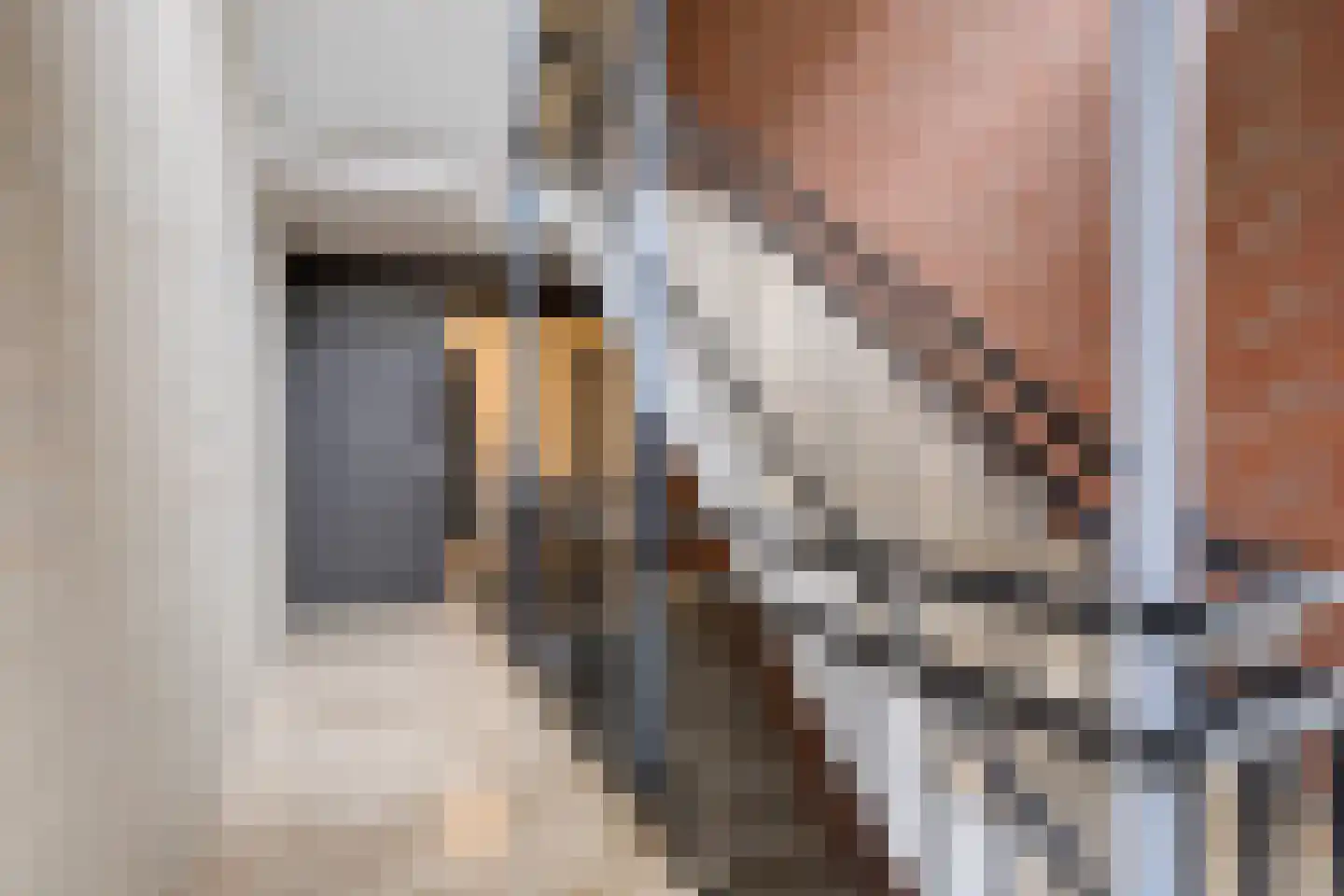 Maasboulevard 25 Roermond thumbnail 7
