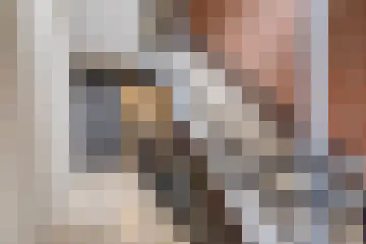 Maasboulevard 25 Roermond thumbnail 7