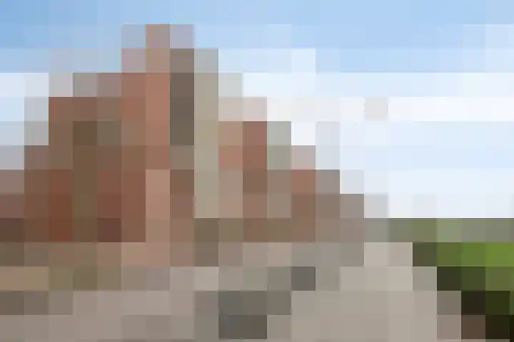 Maasboulevard 291 's-Hertogenbosch thumbnail 10