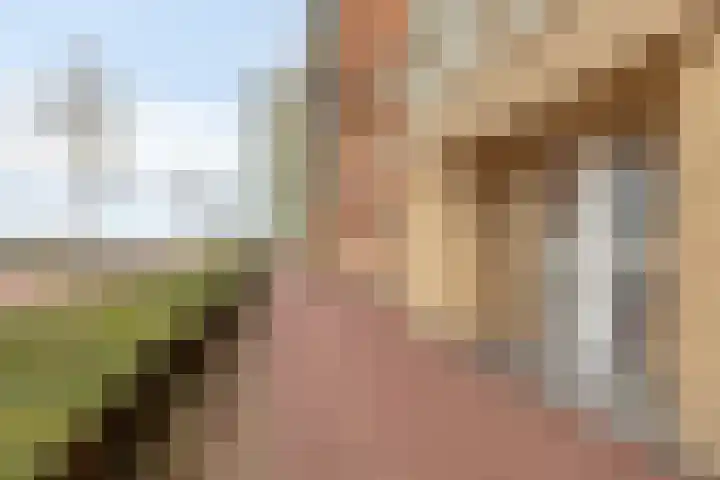 Maasboulevard 291 's-Hertogenbosch thumbnail 12