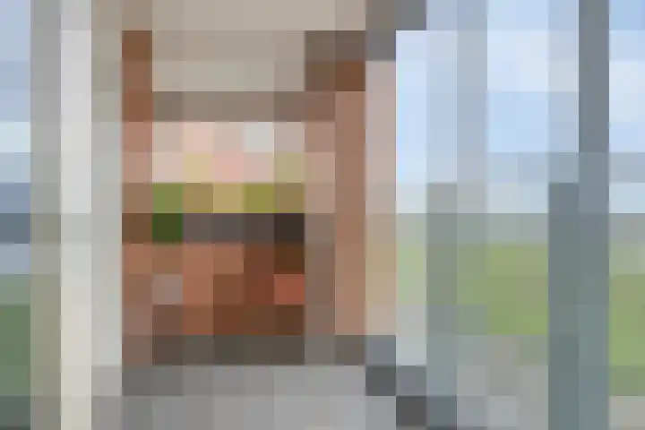 Maasboulevard 291 's-Hertogenbosch thumbnail 24