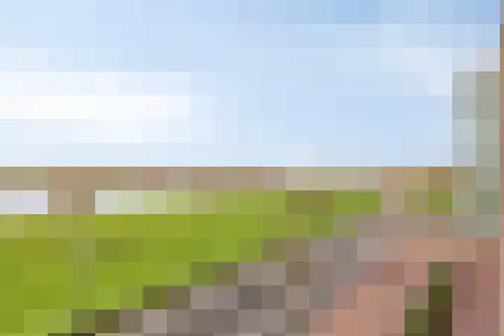 Maasboulevard 291 's-Hertogenbosch thumbnail 27