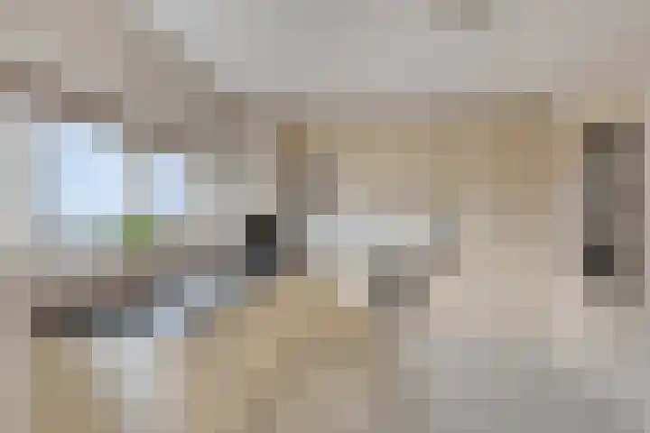 Maasboulevard 291 's-Hertogenbosch thumbnail 32