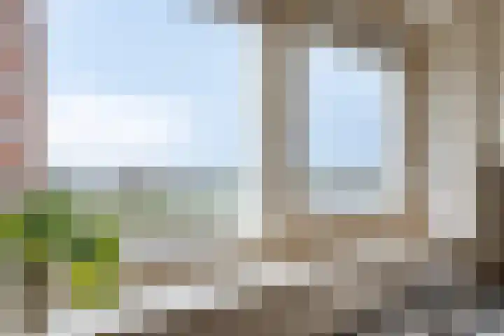 Maasboulevard 291 's-Hertogenbosch thumbnail 33