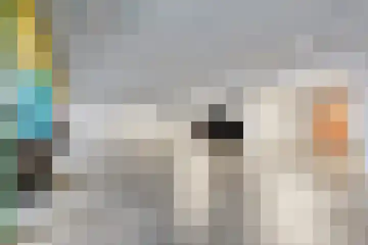Maasboulevard 291 's-Hertogenbosch thumbnail 5