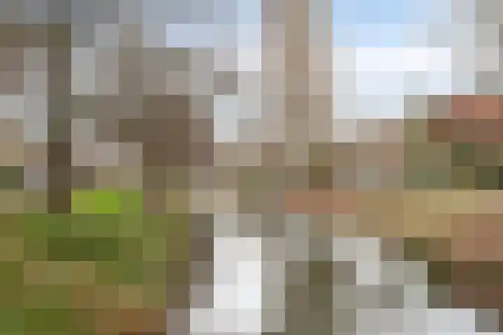Maasboulevard 291 's-Hertogenbosch thumbnail 52