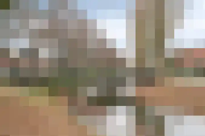Maasboulevard 291 's-Hertogenbosch thumbnail 53