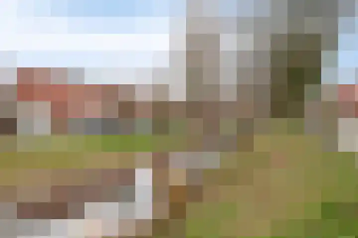 Maasboulevard 291 's-Hertogenbosch thumbnail 54