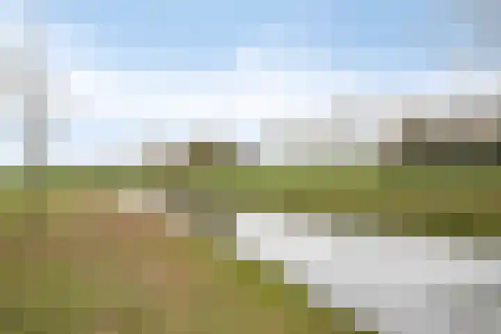 Maasboulevard 291 's-Hertogenbosch thumbnail 55