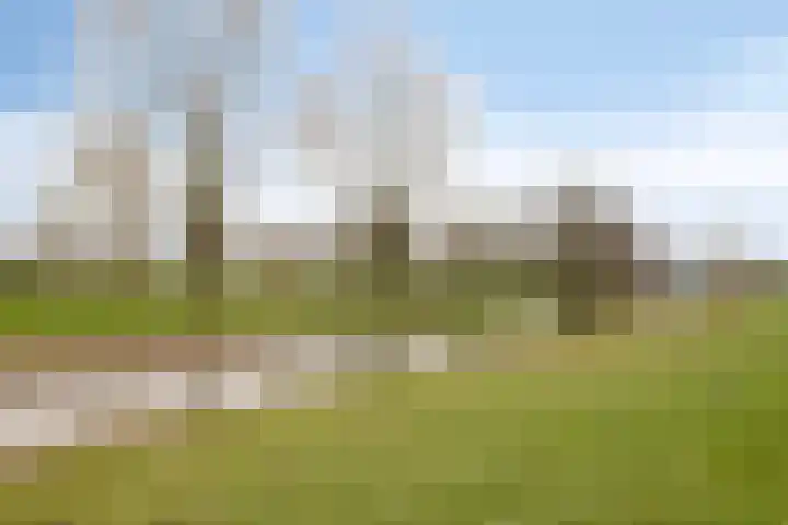 Maasboulevard 291 's-Hertogenbosch thumbnail 56