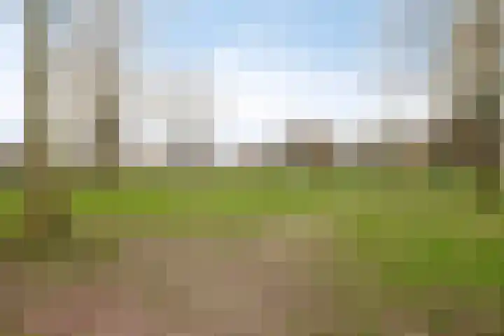 Maasboulevard 291 's-Hertogenbosch thumbnail 57