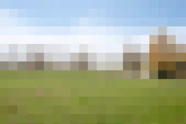 Maasboulevard 291 's-Hertogenbosch thumbnail 58