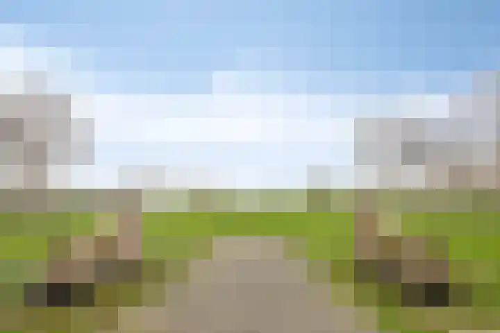 Maasboulevard 291 's-Hertogenbosch thumbnail 59