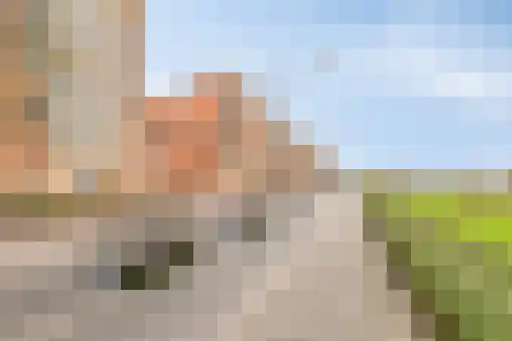 Maasboulevard 291 's-Hertogenbosch thumbnail 9