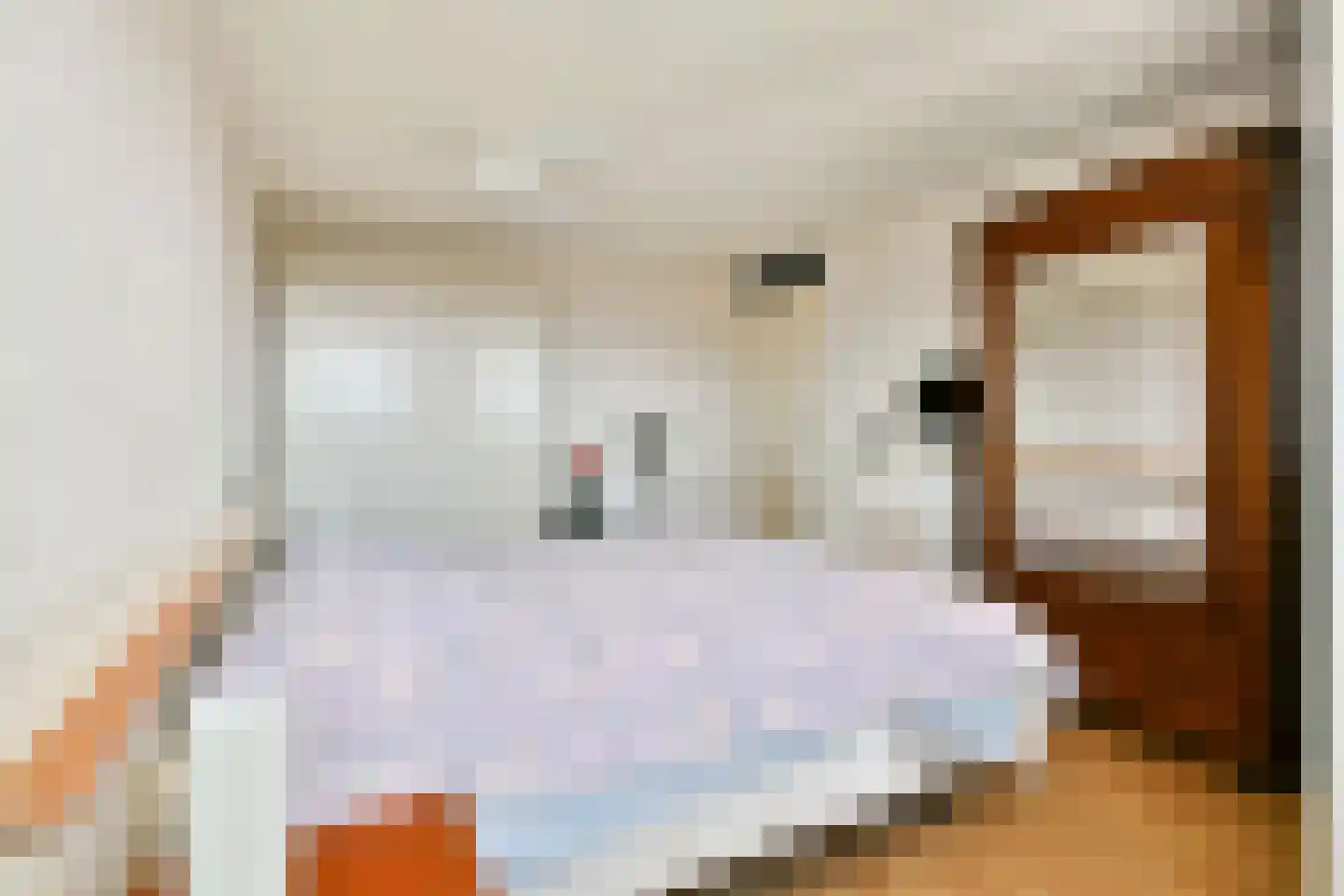 Maasboulevard 44 A Spijkenisse thumbnail 16