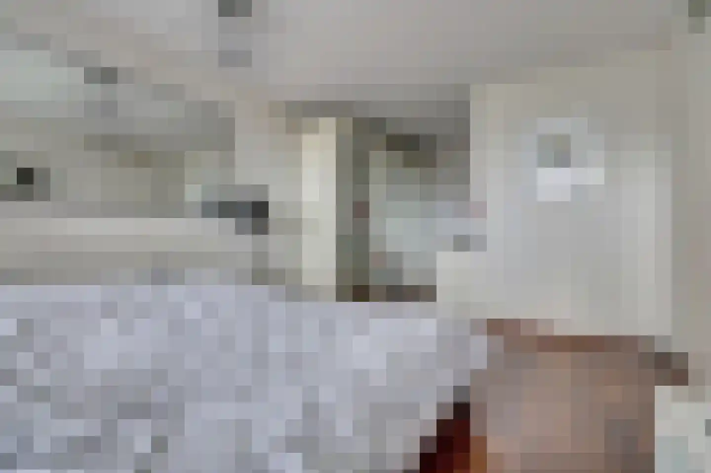 Maasboulevard 44 B Spijkenisse thumbnail 16