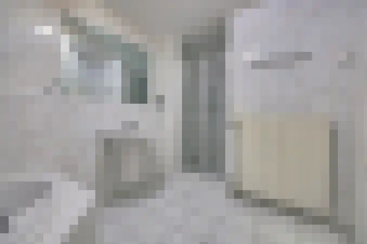 Maasboulevard 44 B Spijkenisse thumbnail 19