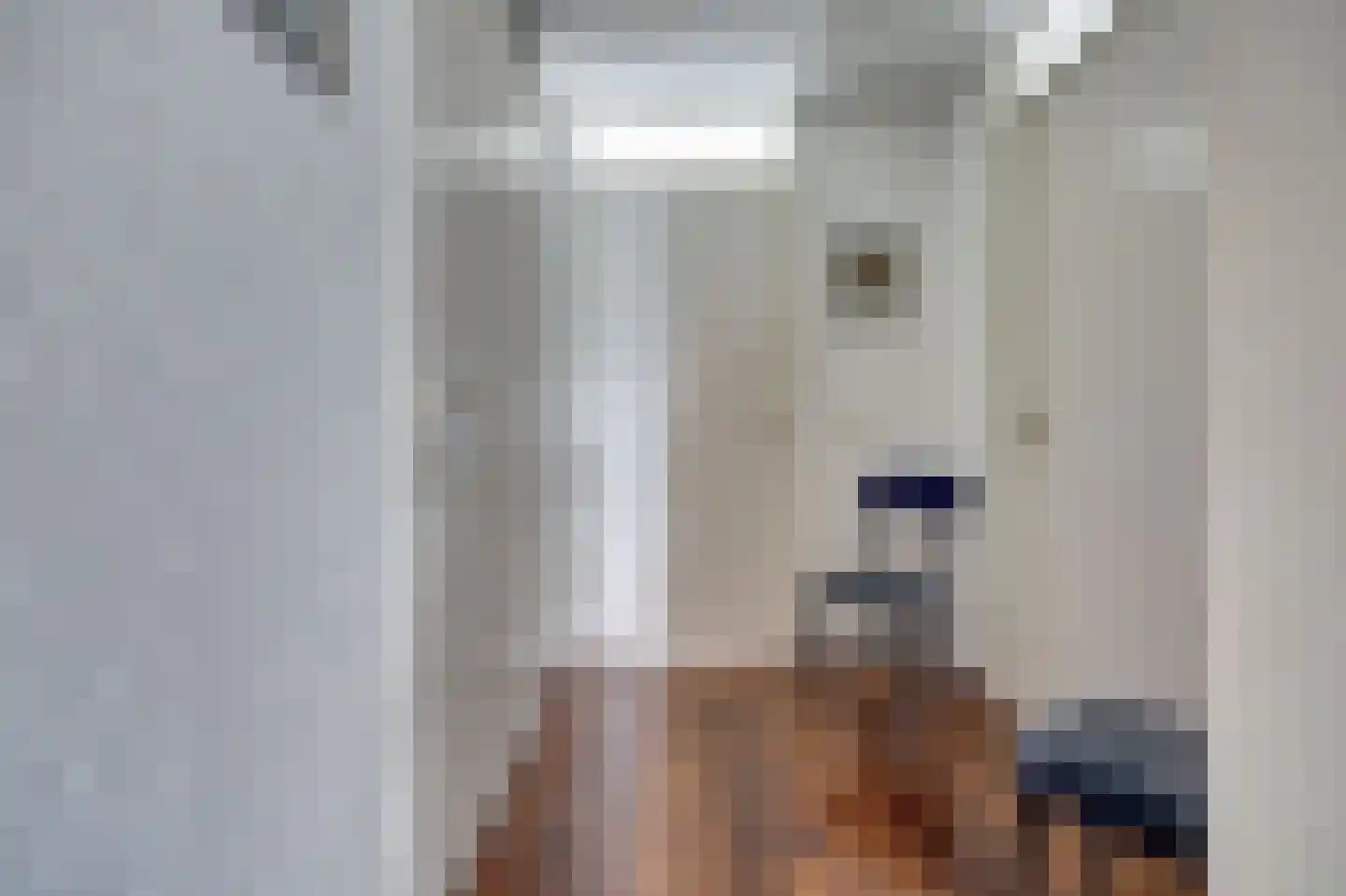 Maasboulevard 44 B Spijkenisse thumbnail 22