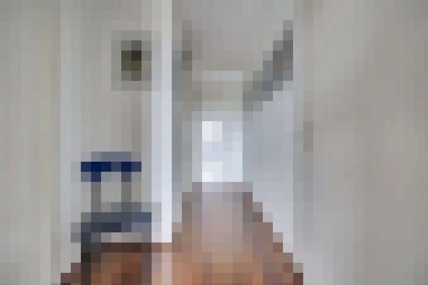Maasboulevard 44 B Spijkenisse thumbnail 23