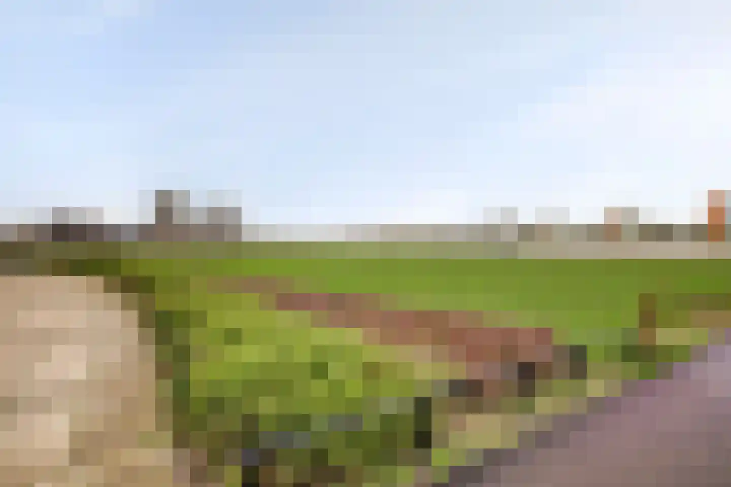 Maasboulevard 44 B Spijkenisse thumbnail 34