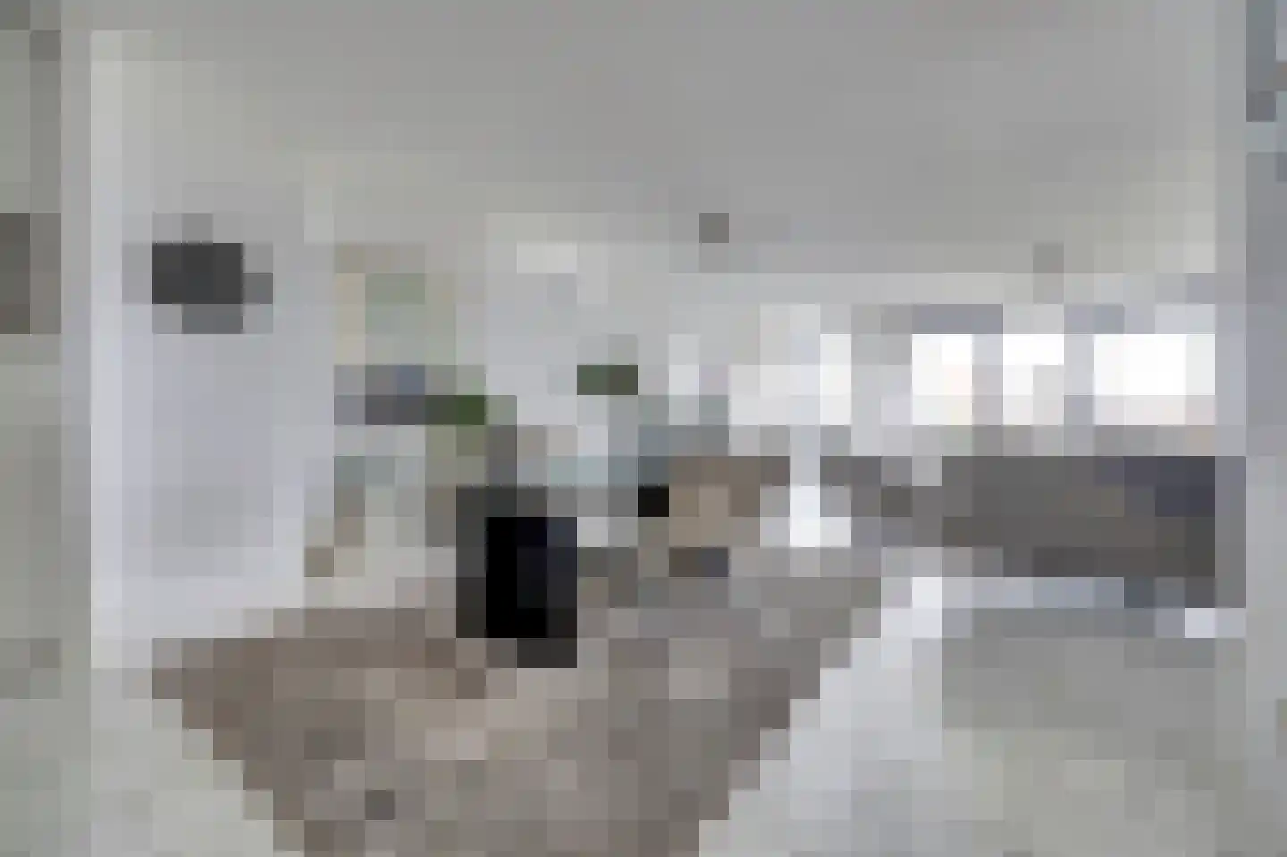 Maasboulevard 44 B Spijkenisse thumbnail 4