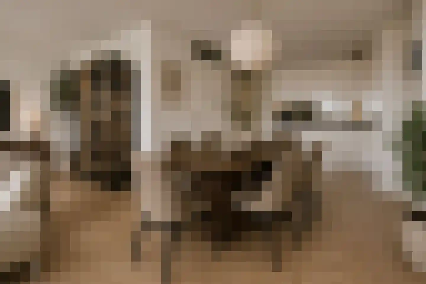 Maasboulevard 44 B Spijkenisse thumbnail 4