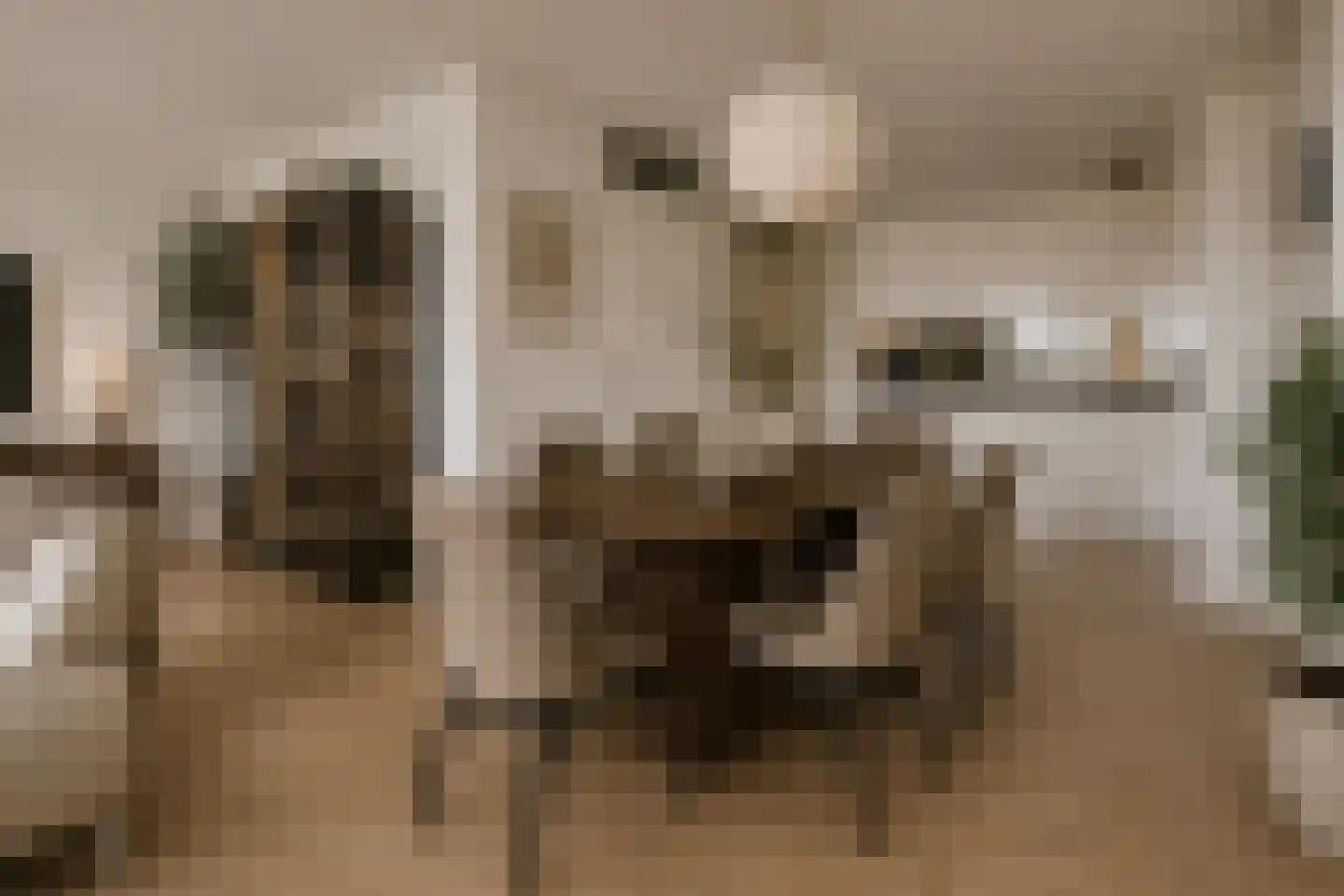 Maasboulevard 44 B Spijkenisse thumbnail 4