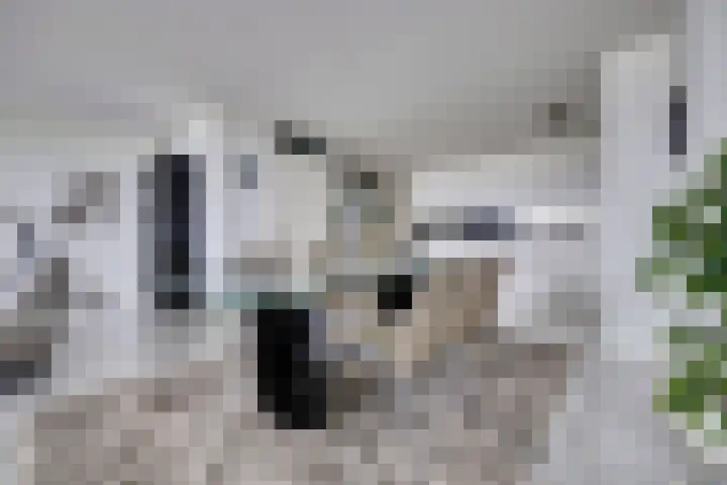 Maasboulevard 44 B Spijkenisse thumbnail 6