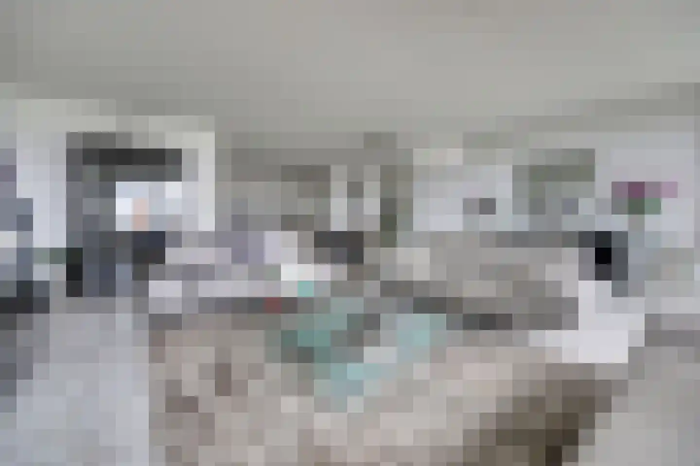 Maasboulevard 44 B Spijkenisse thumbnail 7