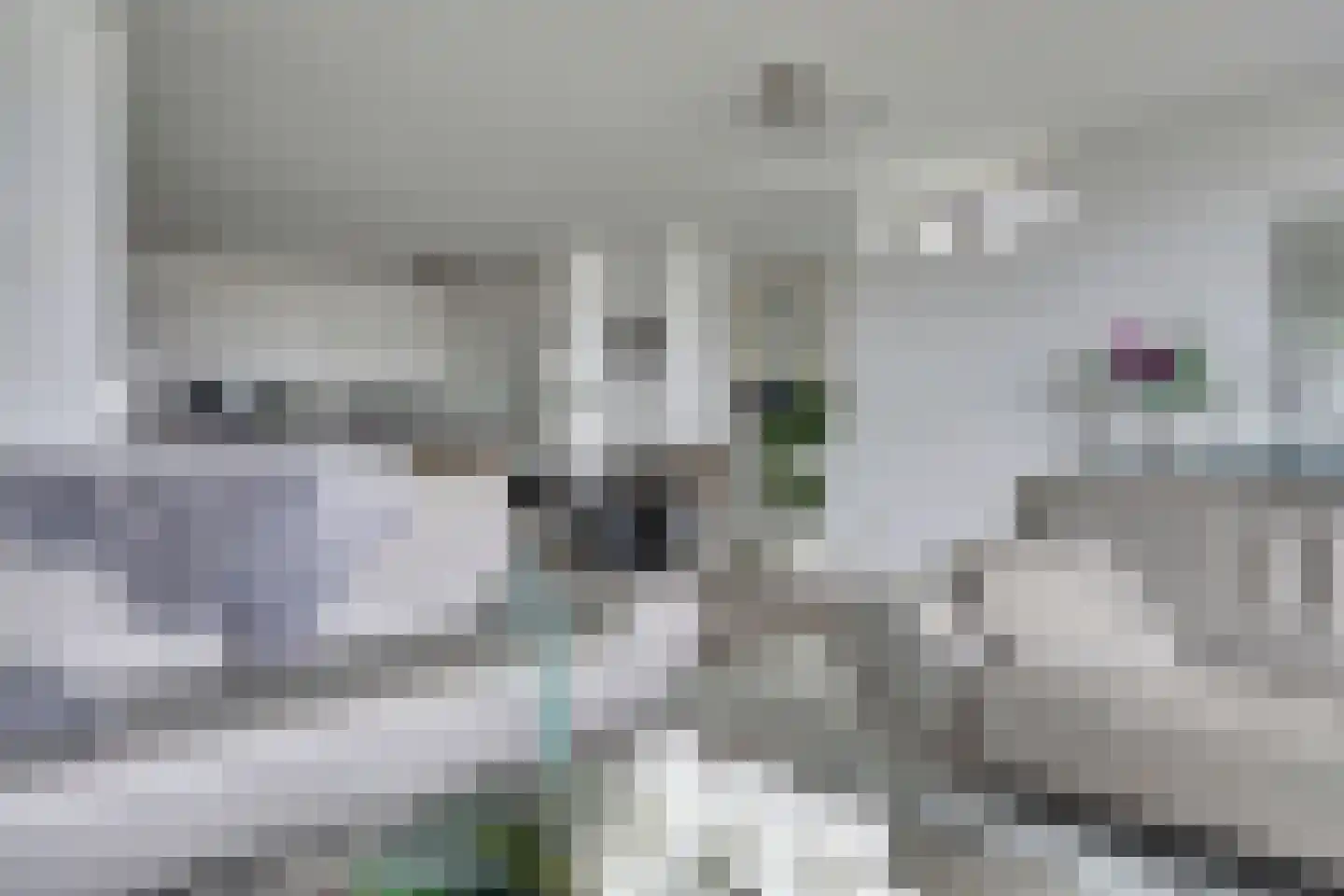 Maasboulevard 44 B Spijkenisse thumbnail 9